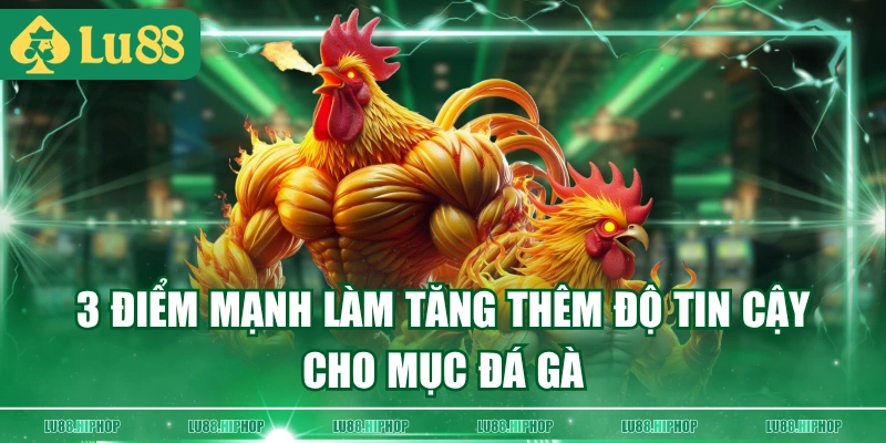 3 điểm mạnh làm tăng thêm độ tin cậy cho mục Đá Gà