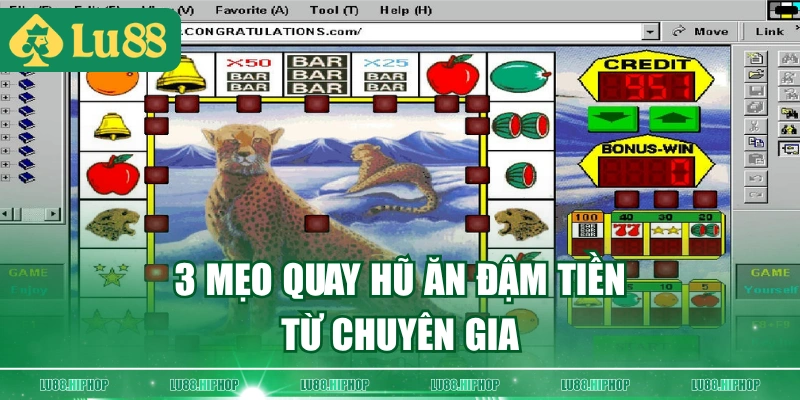 3 mẹo quay hũ ăn đậm tiền từ chuyên gia