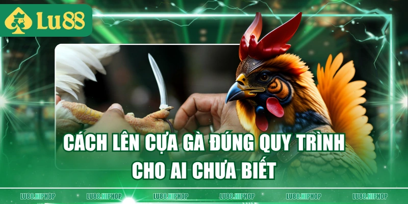 Cách lên cựa gà đúng quy trình cho ai chưa biết