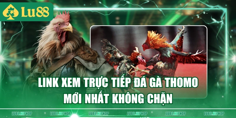 Link xem trực tiếp đá gà Thomo mới nhất không chặn