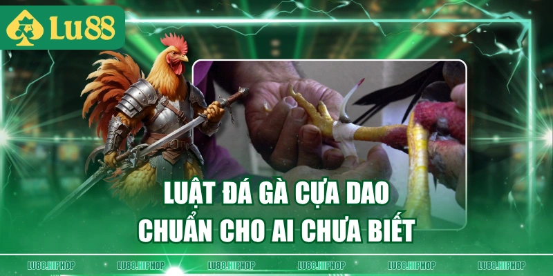 Luật đá gà cựa dao chuẩn cho ai chưa biết