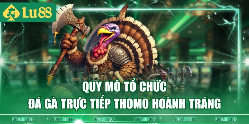 Quy mô tổ chức đá gà trực tiếp Thomo hoành tráng