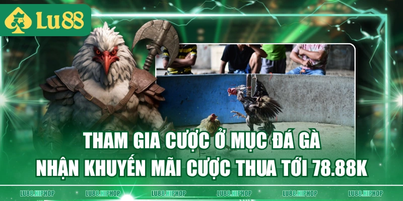 Tham gia cược ở mục Đá Gà nhận khuyến mãi cược thua tới 78.88K