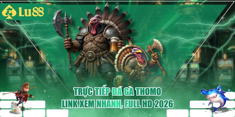 Trực Tiếp Đá Gà Thomo - Link Xem Nhanh, Full HD 2026