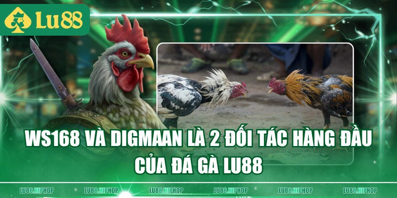 WS168 và DIGMAAN là 2 đối tác hàng đầu của Đá Gà LU88